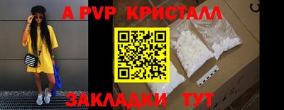 шишки Кингисепп