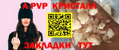 шишки Кингисепп