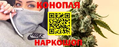 шишки Кингисепп