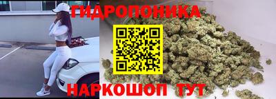 крисы Кимры