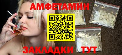 шишки Кингисепп