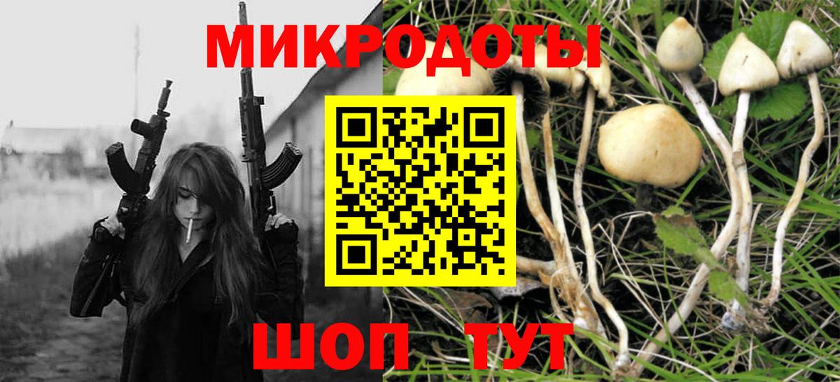 Псилоцибиновые грибы GOLDEN TEACHER Вологда