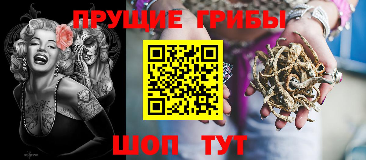 Галлюциногенные грибы Psilocybe  Вход с VPN  Вологда 